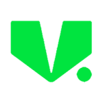VShips Logo